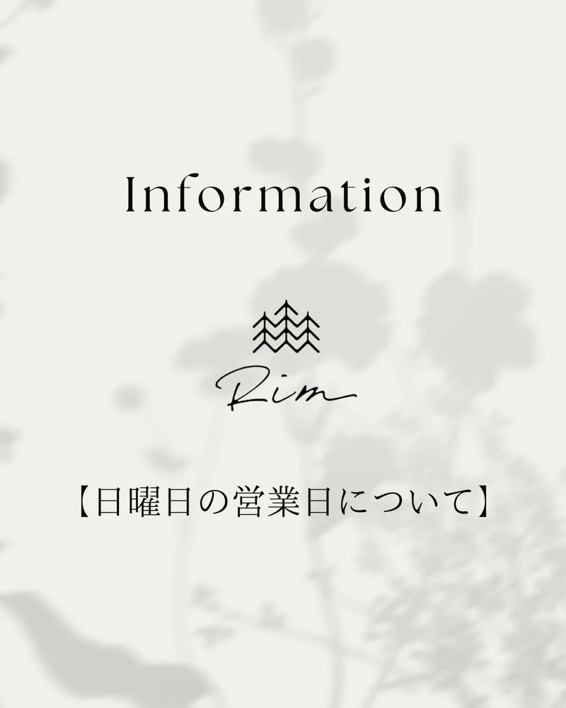 ブログ