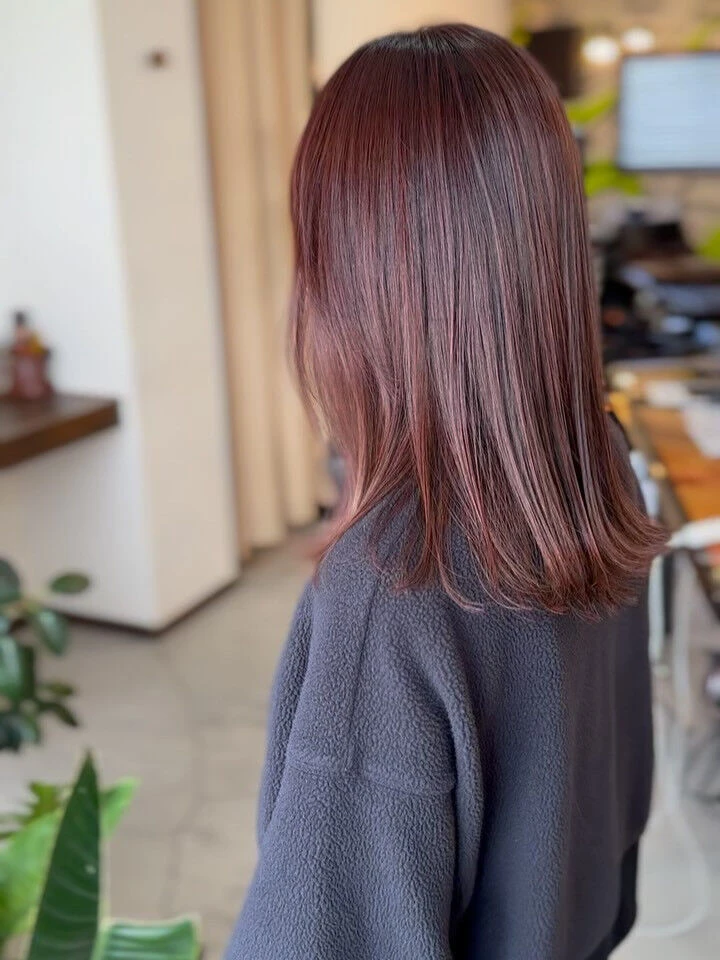 ブログ