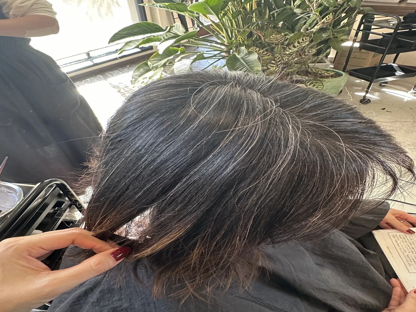 画像6264